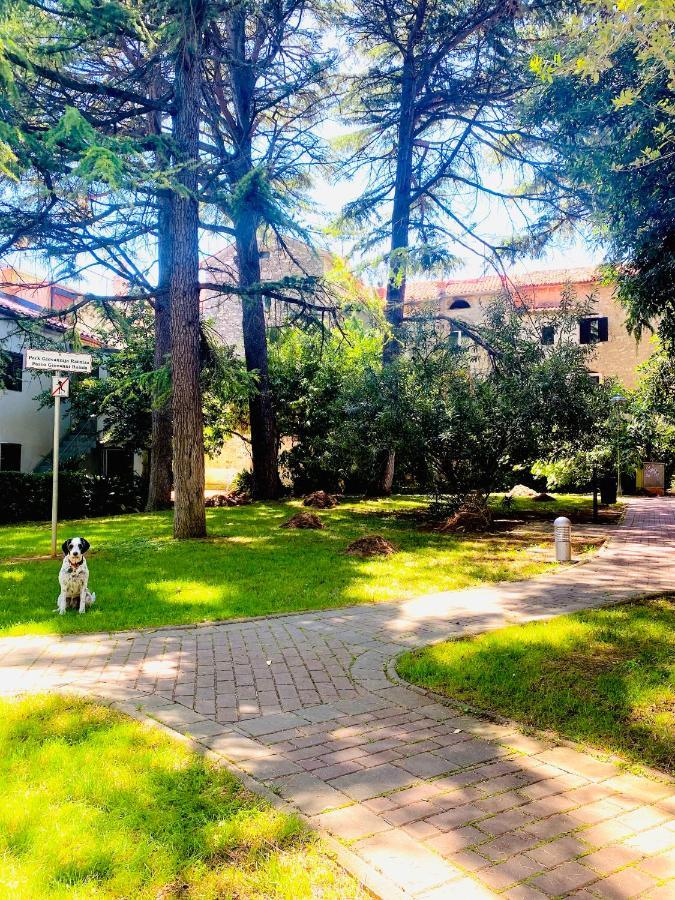 Istria Apartment - 3 Minutes From The Beach Новиград Екстериор снимка